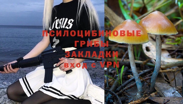 шишки Богородск