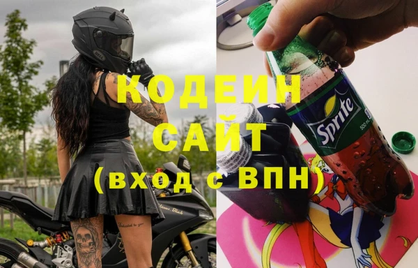 шишки Богородск