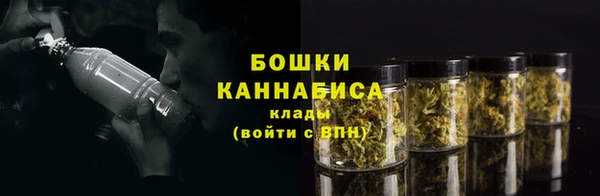 шишки Богородск