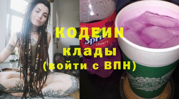 шишки Богородск