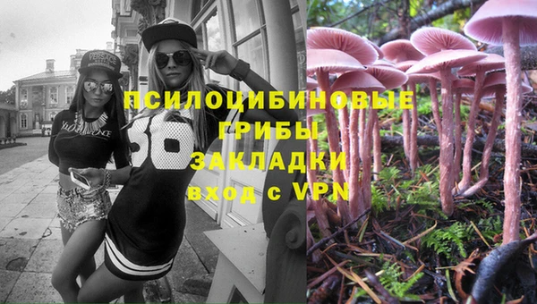 ECSTASY Белокуриха