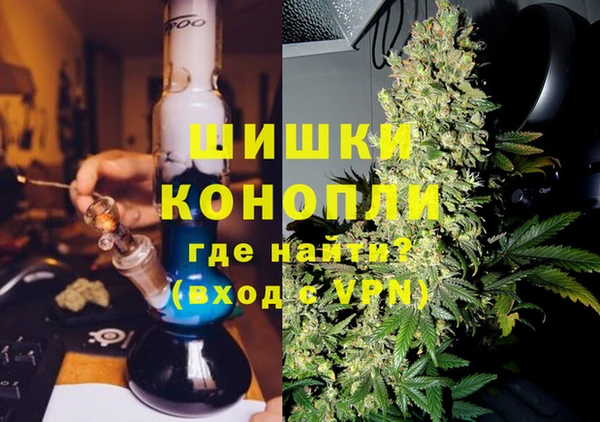 ECSTASY Белокуриха