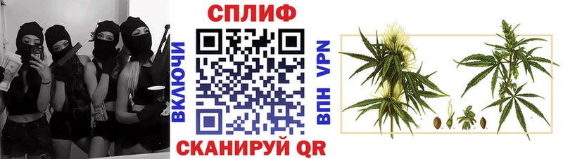 где продают наркотики Ялуторовск Марихуана VHQ